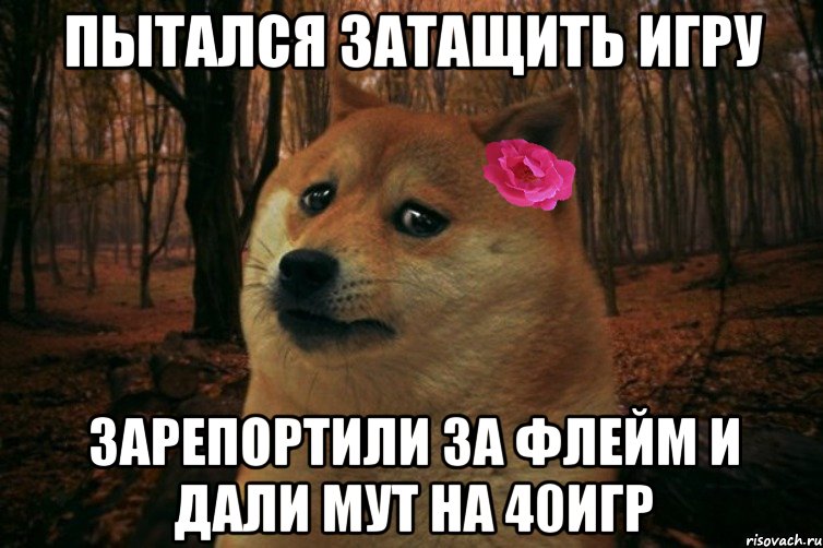 Пытался затащить игру зарепортили за флейм и дали мут на 40игр, Мем  SAD DOGE GIRL