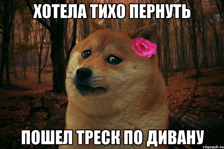 хотела тихо пернуть пошел треск по дивану, Мем  SAD DOGE GIRL