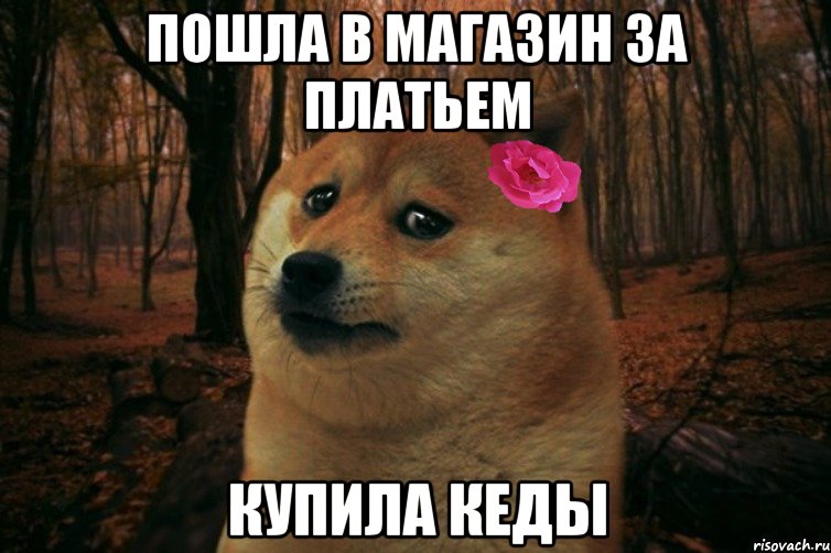 Пошла в магазин за платьем Купила кеды, Мем  SAD DOGE GIRL