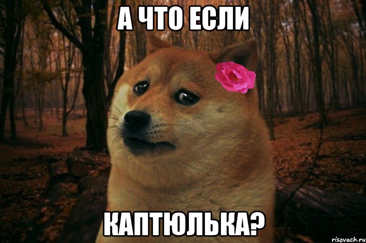 А что если каптюлька?, Мем  SAD DOGE GIRL