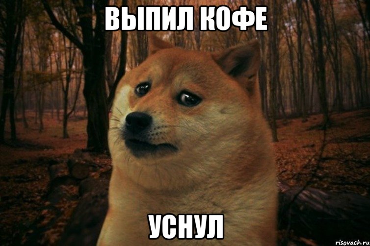 Выпил кофе уснул, Мем SAD DOGE