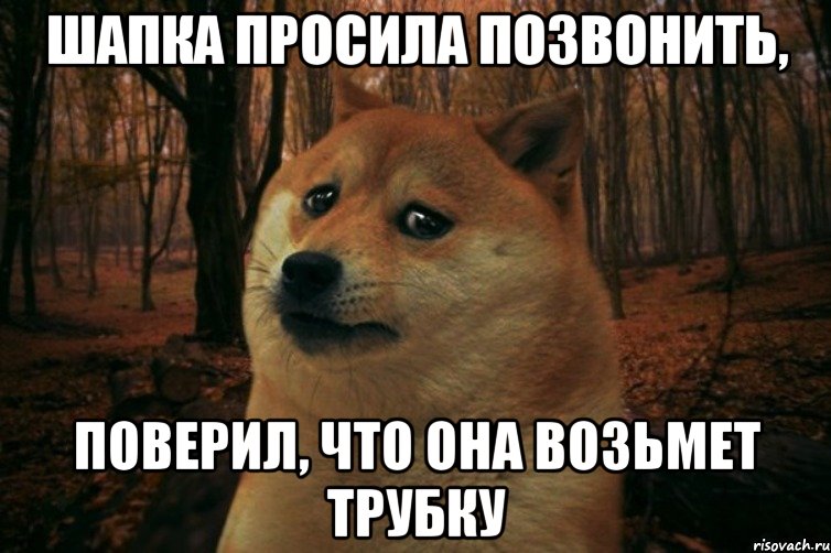 шапка просила позвонить, поверил, что она возьмет трубку, Мем SAD DOGE