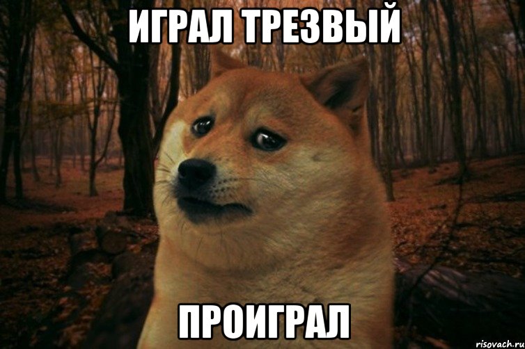 играл трезвый проиграл, Мем SAD DOGE