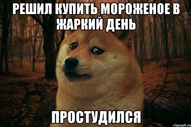 Решил купить мороженое в жаркий день Простудился, Мем SAD DOGE