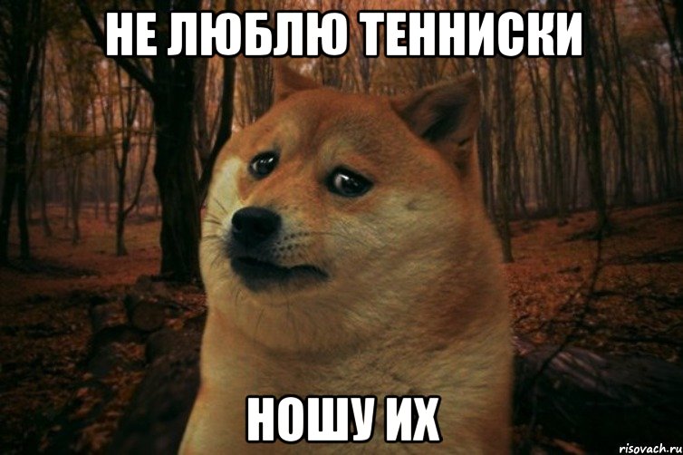 не люблю тенниски ношу их, Мем SAD DOGE