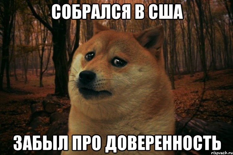 Собрался в США забыл про доверенность, Мем SAD DOGE