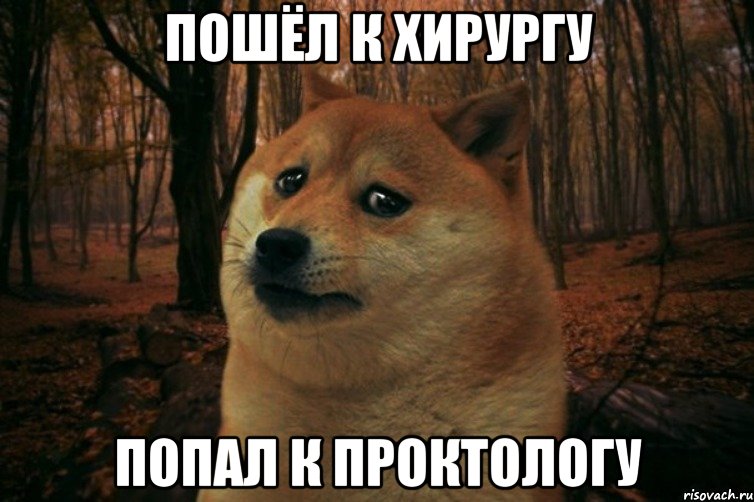 Пошёл к хирургу Попал к проктологу, Мем SAD DOGE