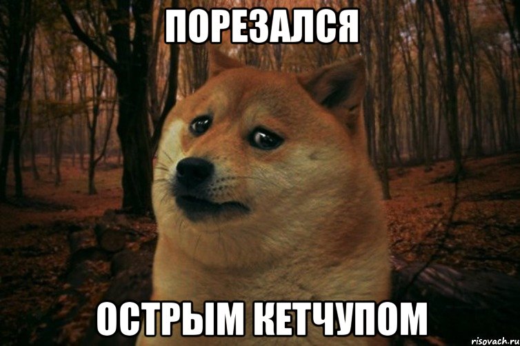 порезался острым кетчупом, Мем SAD DOGE