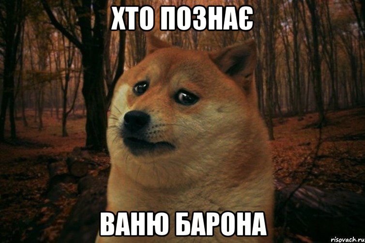 хто познає ваню барона, Мем SAD DOGE