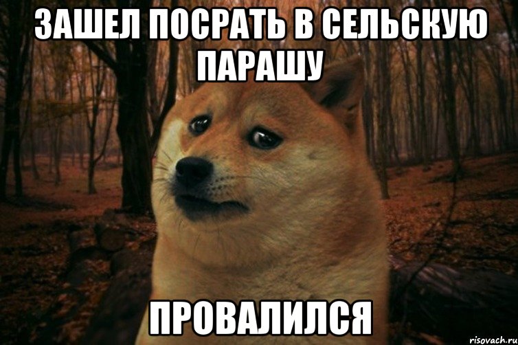 Зашел посрать в сельскую парашу провалился, Мем SAD DOGE