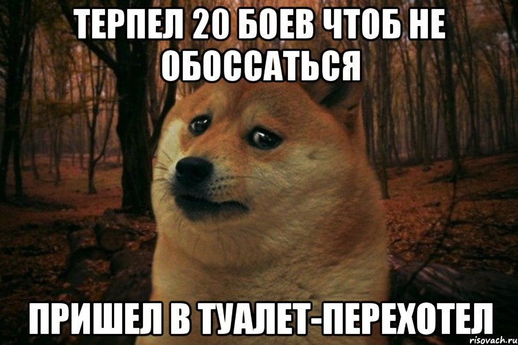 Терпел 20 боев чтоб не обоссаться Пришел в туалет-перехотел, Мем SAD DOGE