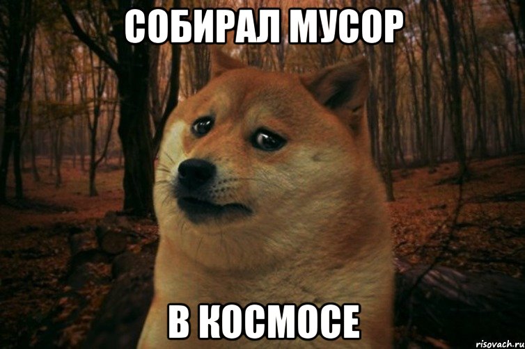 Собирал мусор В космосе, Мем SAD DOGE