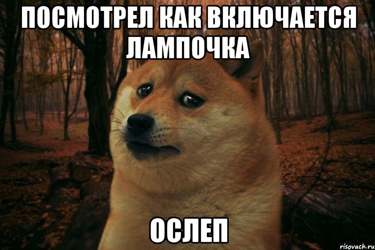 ПОСМОТРЕЛ КАК ВКЛЮЧАЕТСЯ ЛАМПОЧКА ОСЛЕП, Мем SAD DOGE