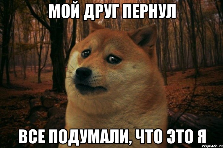 Мой друг пернул Все подумали, что это я, Мем SAD DOGE