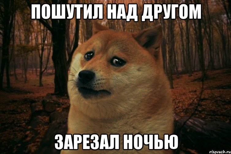 Пошутил над другом Зарезал ночью, Мем SAD DOGE