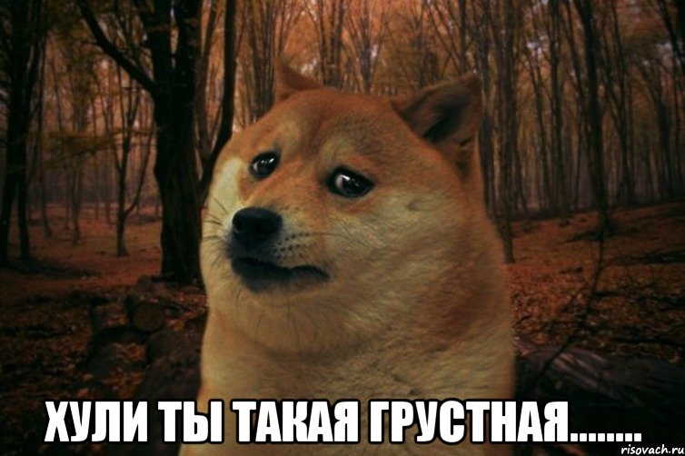  Хули ты такая грустная........, Мем SAD DOGE