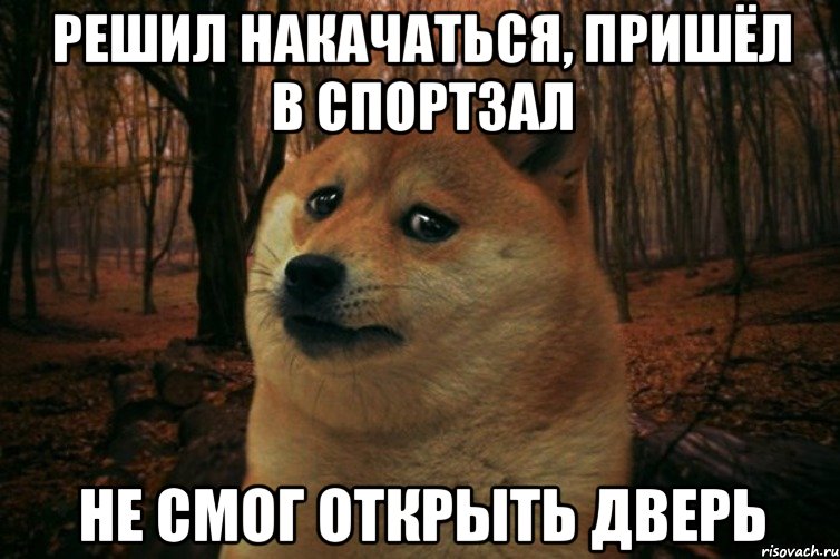 Решил накачаться, пришёл в спортзал Не смог открыть дверь, Мем SAD DOGE