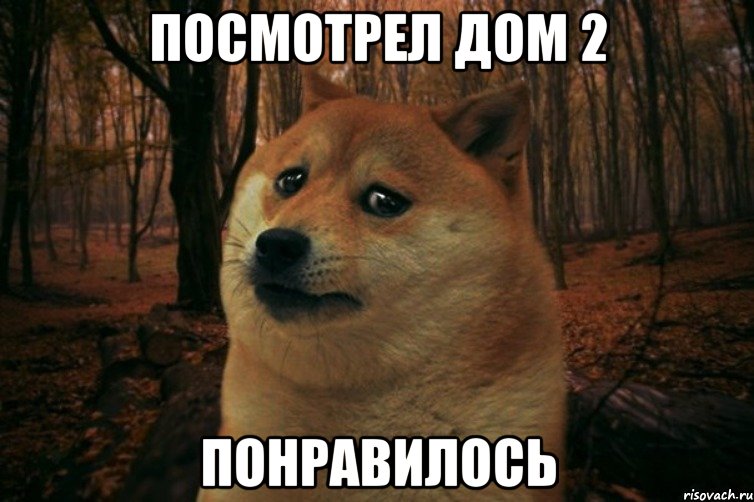 Посмотрел Дом 2 Понравилось, Мем SAD DOGE