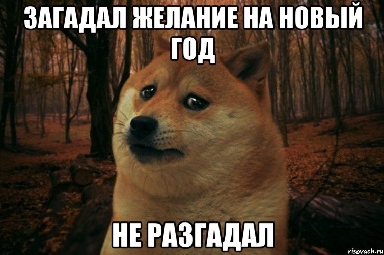 загадал желание на новый год не разгадал, Мем SAD DOGE