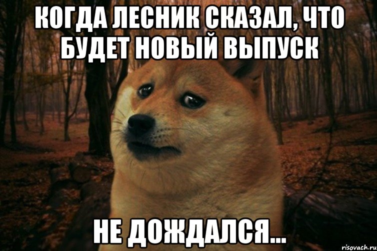 Когда Лесник сказал, что будет новый выпуск Не дождался..., Мем SAD DOGE