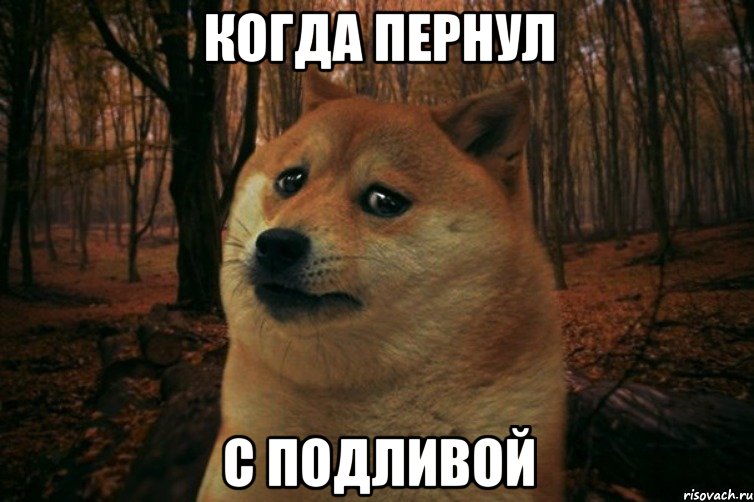 Когда пернул с подливой, Мем SAD DOGE