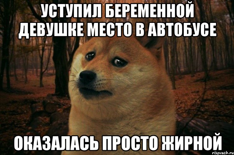 уступил беременной девушке место в автобусе оказалась просто жирной, Мем SAD DOGE