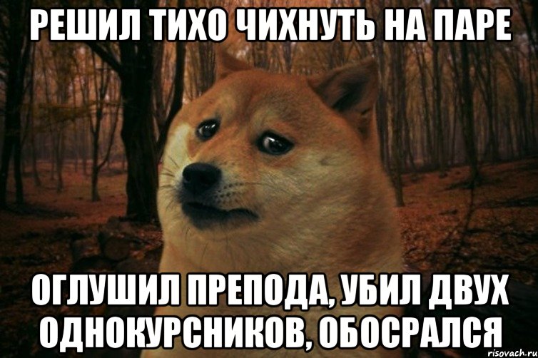 решил тихо чихнуть на паре оглушил препода, убил двух однокурсников, обосрался