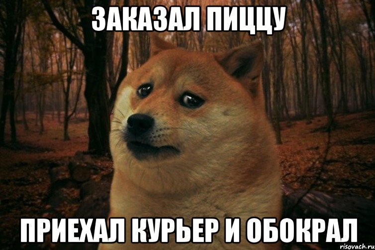 Заказал пиццу приехал курьер и обокрал, Мем SAD DOGE