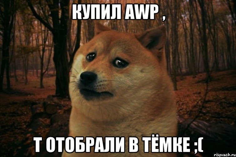 Купил Awp , Т отобрали в тёмке ;(, Мем SAD DOGE