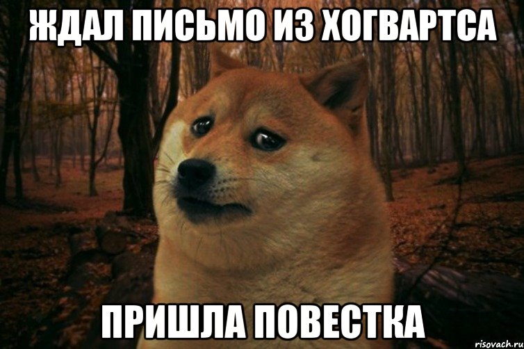 ждал письмо из хогвартса пришла повестка, Мем SAD DOGE