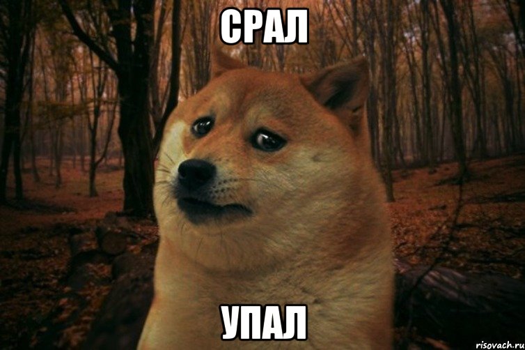 СРАЛ УПАЛ, Мем SAD DOGE