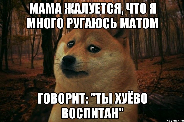 мама жалуется, что я много ругаюсь матом говорит: "ты хуёво воспитан", Мем SAD DOGE