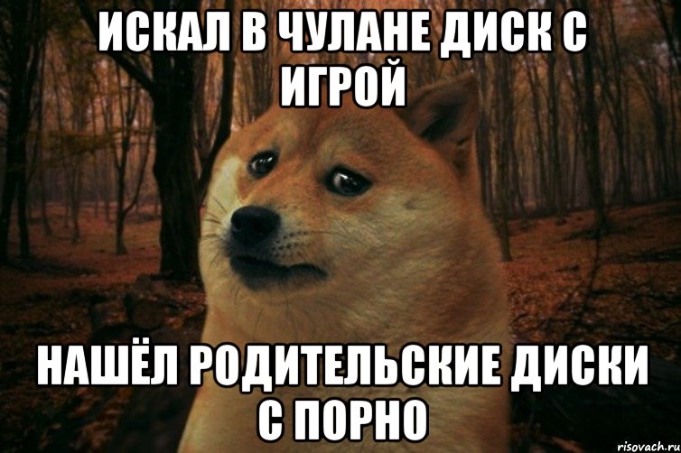 Искал в чулане диск с игрой Нашёл родительские диски с порно, Мем SAD DOGE