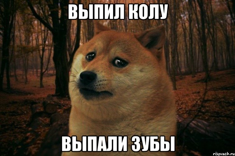 выпил колу выпали зубы, Мем SAD DOGE