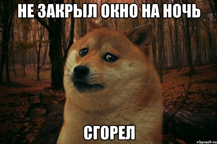 Не закрыл окно на ночь Сгорел