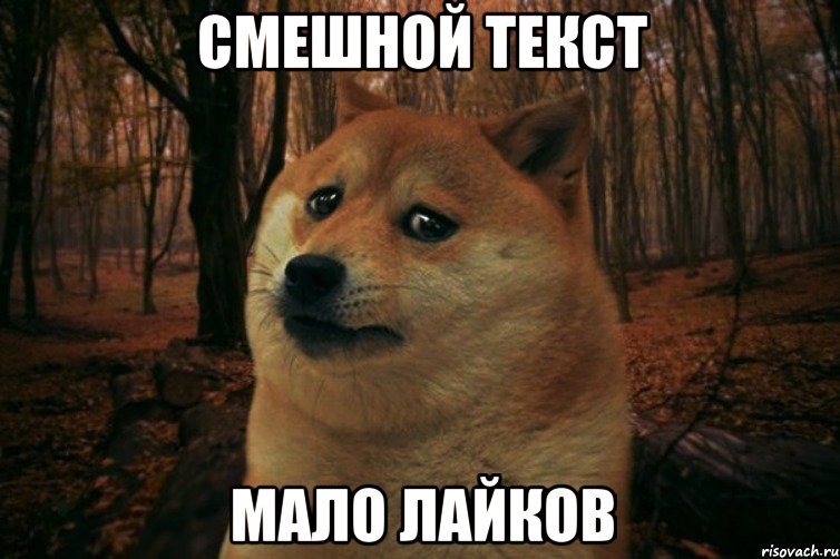 смешной текст мало лайков, Мем SAD DOGE