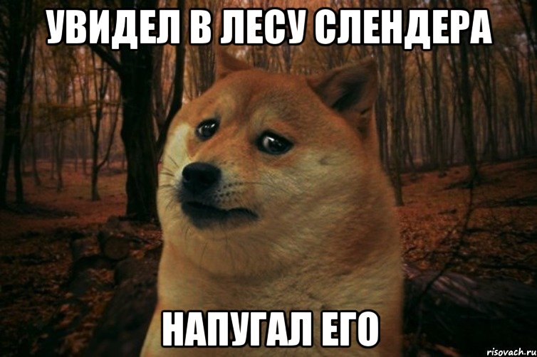 Увидел в лесу Слендера Напугал его, Мем SAD DOGE