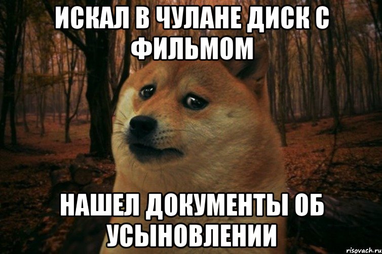 Искал в чулане диск с фильмом нашел документы об усыновлении, Мем SAD DOGE