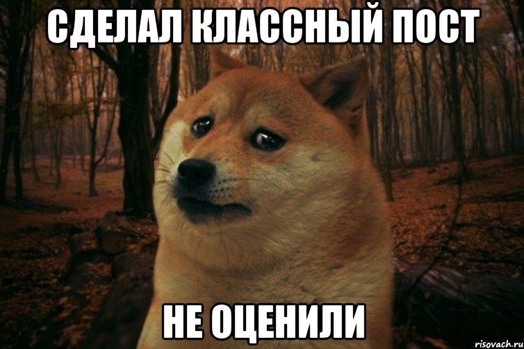 сделал классный пост не оценили, Мем SAD DOGE