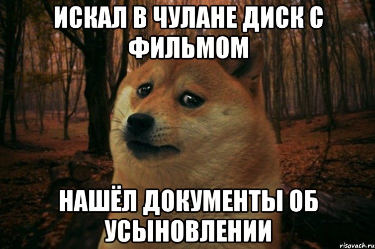 искал в чулане диск с фильмом нашёл документы об усыновлении, Мем SAD DOGE