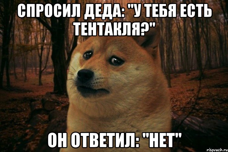 Спросил деда: "у тебя есть тентакля?" Он ответил: "нет", Мем SAD DOGE