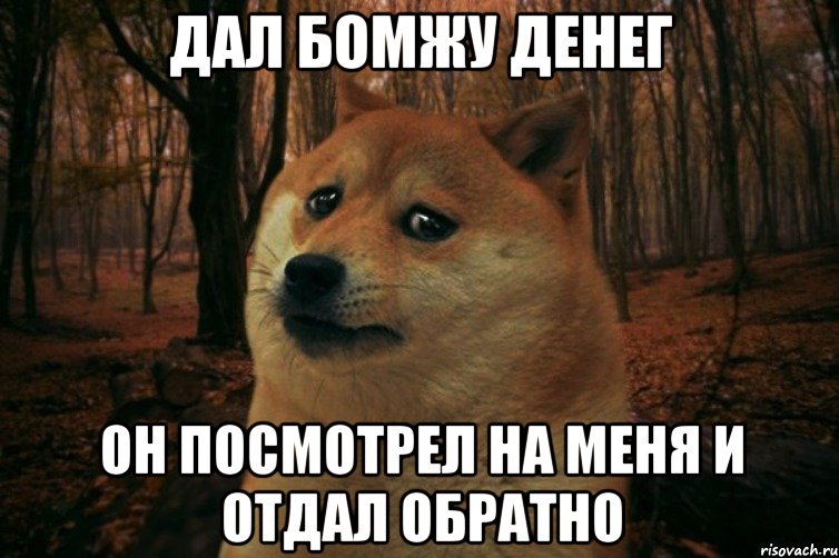 Дал бомжу денег Он посмотрел на меня и отдал обратно, Мем SAD DOGE