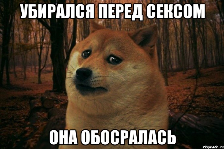 Убирался перед сексом Она обосралась, Мем SAD DOGE