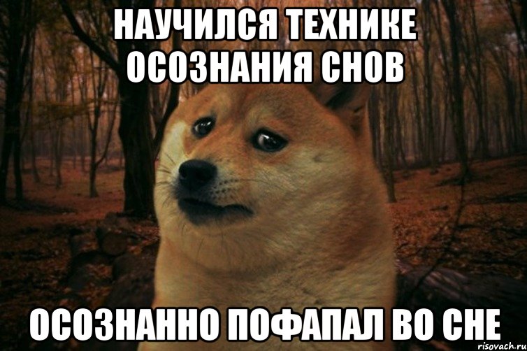 научился технике осознания снов осознанно пофапал во сне, Мем SAD DOGE