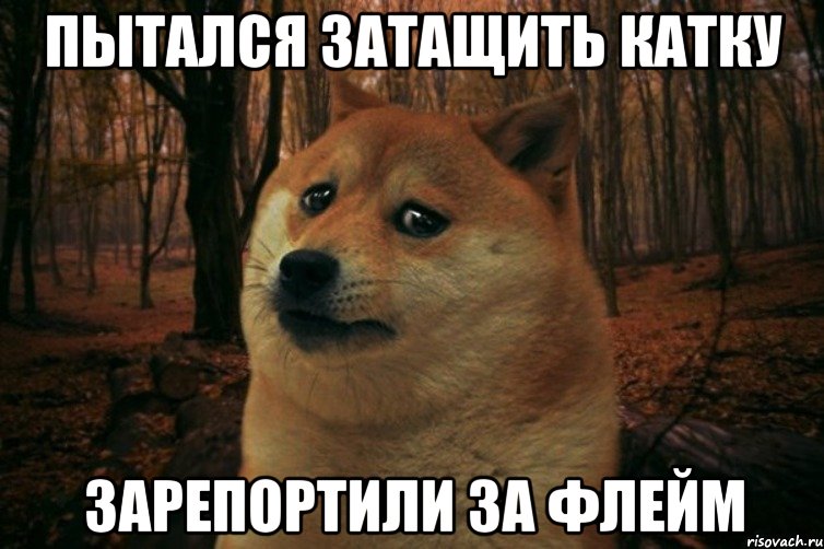 Пытался затащить катку Зарепортили за флейм, Мем SAD DOGE