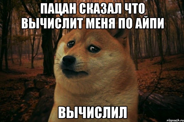 Пацан сказал что вычислит меня по айпи вычислил, Мем SAD DOGE