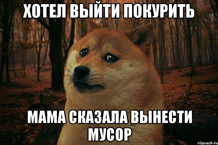 хотел выйти покурить мама сказала вынести мусор, Мем SAD DOGE