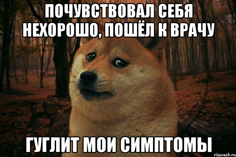 почувствовал себя нехорошо, пошёл к врачу гуглит мои симптомы, Мем SAD DOGE