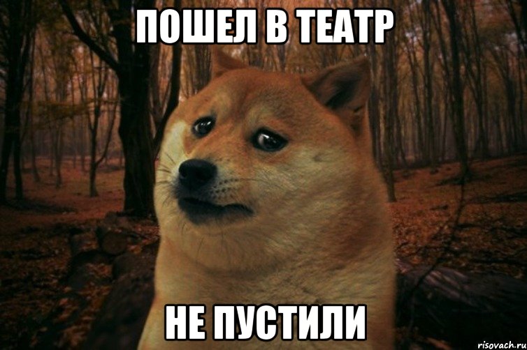 Пошел в театр Не пустили, Мем SAD DOGE