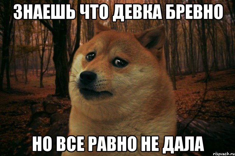 знаешь что девка бревно но все равно не дала, Мем SAD DOGE